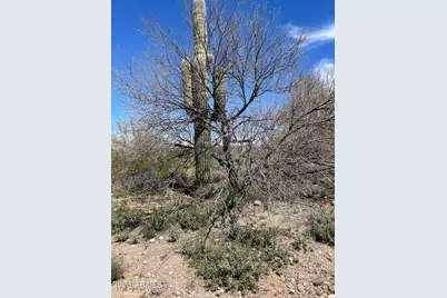 875 E Monte Vista Trail #9, Wickenburg, AZ 85390 - Photo 7