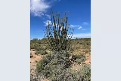 875 E Monte Vista Trail #9, Wickenburg, AZ 85390 - Photo 7