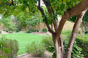 801 W Michelle Dr, Phoenix, AZ 85023 - Photo 43
