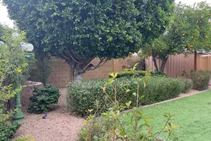 801 W Michelle Dr, Phoenix, AZ 85023 - Photo 51