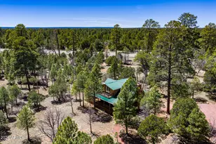 2154 Saddle Blanket Rd, Happy Jack, AZ 86024 - Photo 57