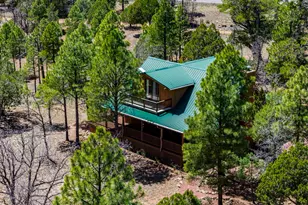 2154 Saddle Blanket Rd, Happy Jack, AZ 86024 - Photo 3