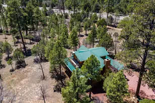 2154 Saddle Blanket Rd, Happy Jack, AZ 86024 - Photo 55