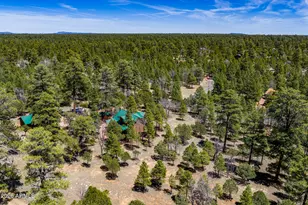 2154 Saddle Blanket Rd, Happy Jack, AZ 86024 - Photo 39