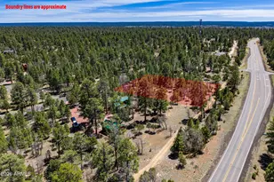 2118 Saddle Blanket Rd, Happy Jack, AZ 86024 - Photo 1