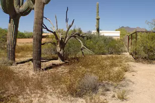 31607 N 64th St, Cave Creek, AZ 85331 - Photo 7