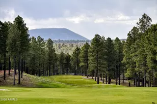 3495 W Lead Rope, Flagstaff, AZ 86005 - Photo 45