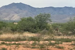 2384 N Appaloosa Pl, Huachuca City, AZ 85616 - Photo 13