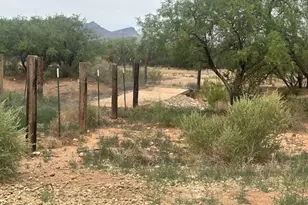2384 N Appaloosa Pl, Huachuca City, AZ 85616 - Photo 19