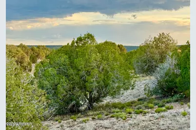 4428 Colt Road #-, Snowflake, AZ 85937 - Photo 3