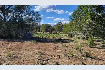 80 S Rattlesnake Gulch -- #80, Williams, AZ 86046 - Photo 11