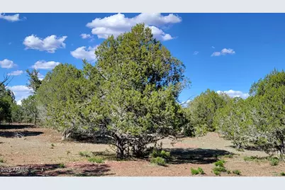 80 S Rattlesnake Gulch -- #80, Williams, AZ 86046 - Photo 15
