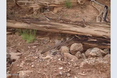 80 S Rattlesnake Gulch -- #80, Williams, AZ 86046 - Photo 19