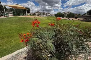 1921 W Vineyard Plains Dr, San Tan Valley, AZ 85144 - Photo 33
