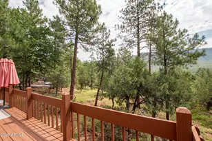 5120 N Juniper Loop, Pine, AZ 85544 - Photo 41