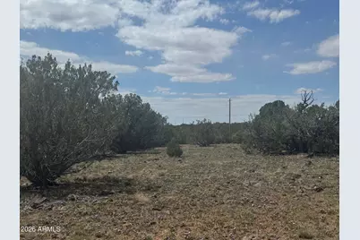 Lot 014E Wagon Lane -- #014E, Snowflake, AZ 85937 - Photo 15
