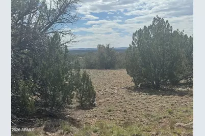 Lot 014E Wagon Lane -- #014E, Snowflake, AZ 85937 - Photo 17