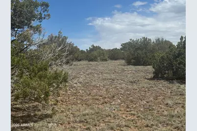 Lot 014E Wagon Lane -- #014E, Snowflake, AZ 85937 - Photo 9
