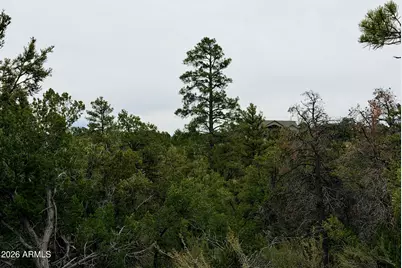 4918 Sunset Ridge Loop #199, Happy Jack, AZ 86024 - Photo 1