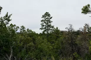 4918 Sunset Ridge Loop, Happy Jack, AZ 86024 - Photo 1