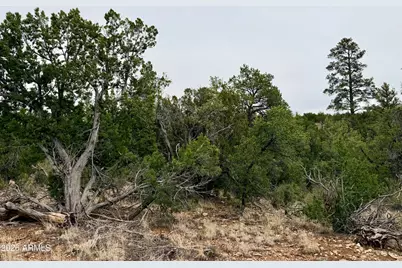 4918 Sunset Ridge Loop #199, Happy Jack, AZ 86024 - Photo 3