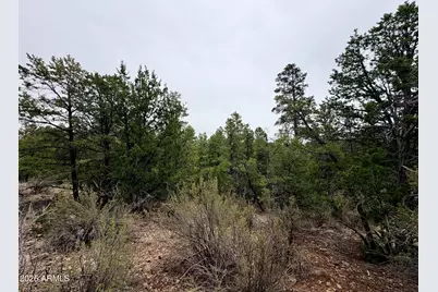 4918 Sunset Ridge Loop #199, Happy Jack, AZ 86024 - Photo 9