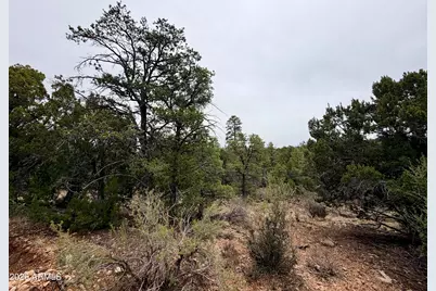 4918 Sunset Ridge Loop #199, Happy Jack, AZ 86024 - Photo 5