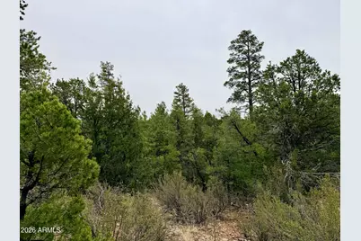 4918 Sunset Ridge Loop #199, Happy Jack, AZ 86024 - Photo 7