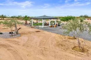 233 N Pettoshas Dr, Maricopa, AZ 85139 - Photo 59