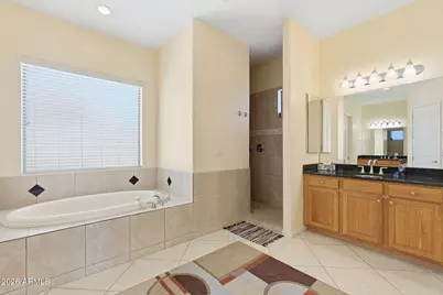 3826 N Rain Cloud Drive, Apache Junction, AZ 85119 - Photo 53