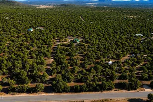 48 Acr 3187 --, Vernon, AZ 85940 - Photo 21