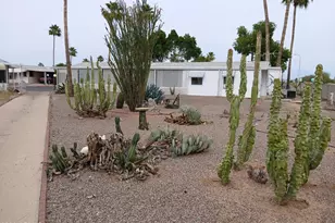 834 S Meridian Rd, Apache Junction, AZ 85120 - Photo 19