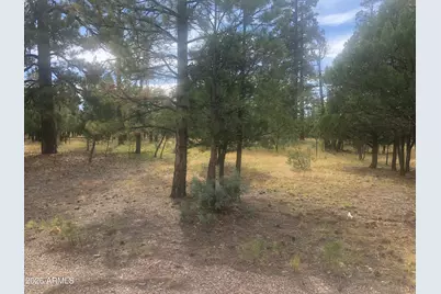 4382 Jack Pine Place #144, Happy Jack, AZ 86024 - Photo 3