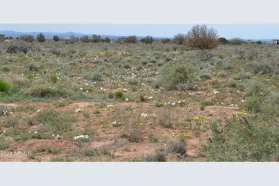 1771 W Ridgeview Ranch Road, Snowflake, AZ 85937 - Photo 33