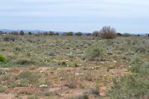3077 N Ranchview Rd, Snowflake, AZ 85937 - Photo 33