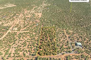 1853 Woolford Rd, Pinedale, AZ 85934 - Photo 1