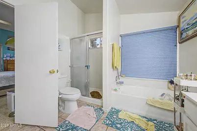 261 S Chippewa Place, Chandler, AZ 85224 - Photo 19