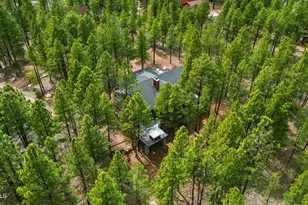 4449 Star Shine Cir, Happy Jack, AZ 86024 - Photo 39