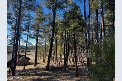 1021 Stone Hollow Loop #2, Williams, AZ 86046 - Photo 5