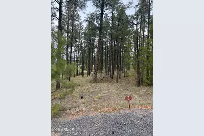 1021 Stone Hollow Loop #2, Williams, AZ 86046 - Photo 3