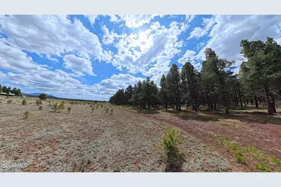 12565 Camp Kimball Road #-, Parks, AZ 86018 - Photo 49
