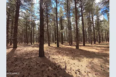 12565 Camp Kimball Road #-, Parks, AZ 86018 - Photo 41