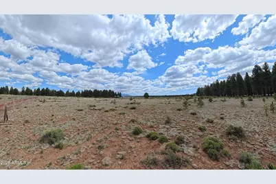 12565 Camp Kimball Road #-, Parks, AZ 86018 - Photo 17