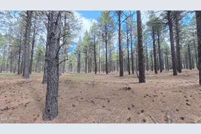 12565 Camp Kimball Road #-, Parks, AZ 86018 - Photo 43