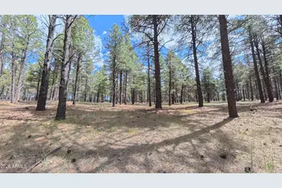 12565 Camp Kimball Road #-, Parks, AZ 86018 - Photo 39