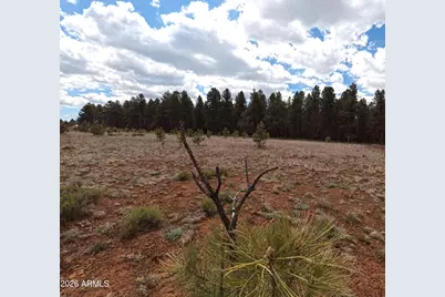 12565 Camp Kimball Road #-, Parks, AZ 86018 - Photo 45