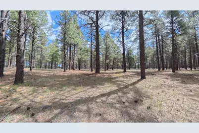 12565 Camp Kimball Road #-, Parks, AZ 86018 - Photo 37
