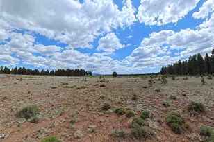 12565 Camp Kimball Rd, Parks, AZ 86018 - Photo 1