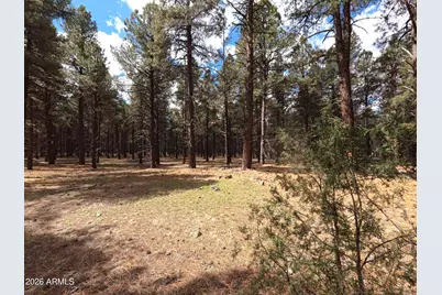 12565 Camp Kimball Road #-, Parks, AZ 86018 - Photo 35