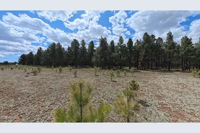 12565 Camp Kimball Road #-, Parks, AZ 86018 - Photo 47